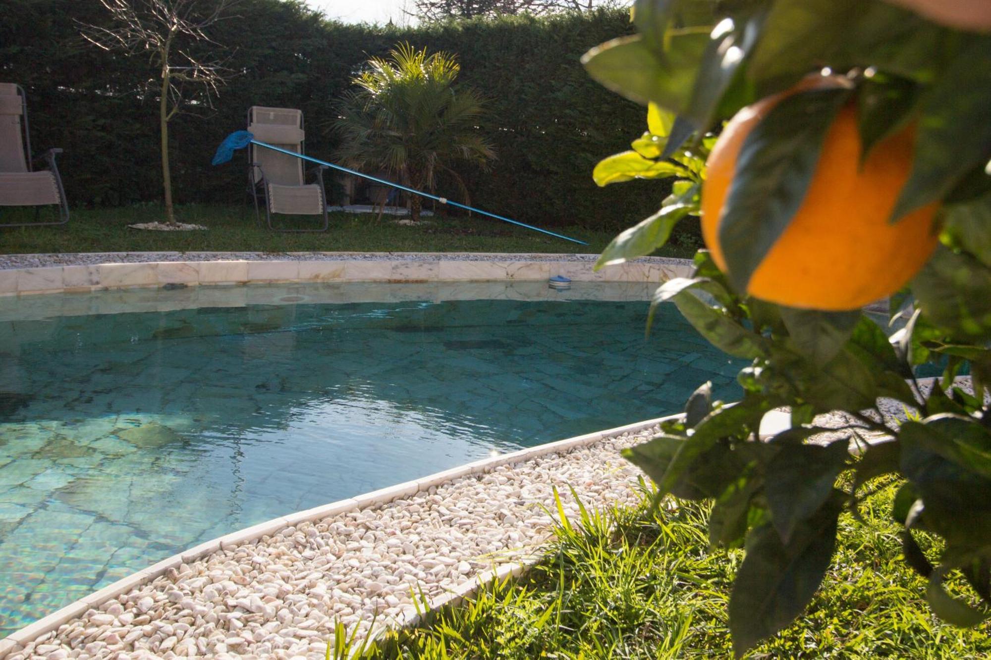 GuestReady - Beiriz Garden&Pool Villa Póvoa de Varzim Exterior foto